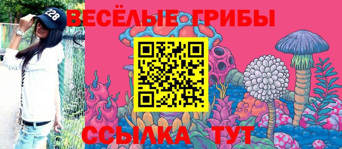 Кулебаки  Галлюциногенные грибы Psilocybe  Вход с VPN 