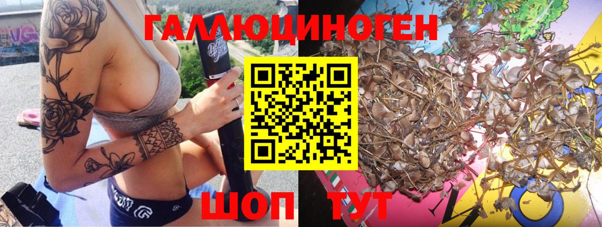 Галлюциногенные грибы Magic Shrooms Кулебаки